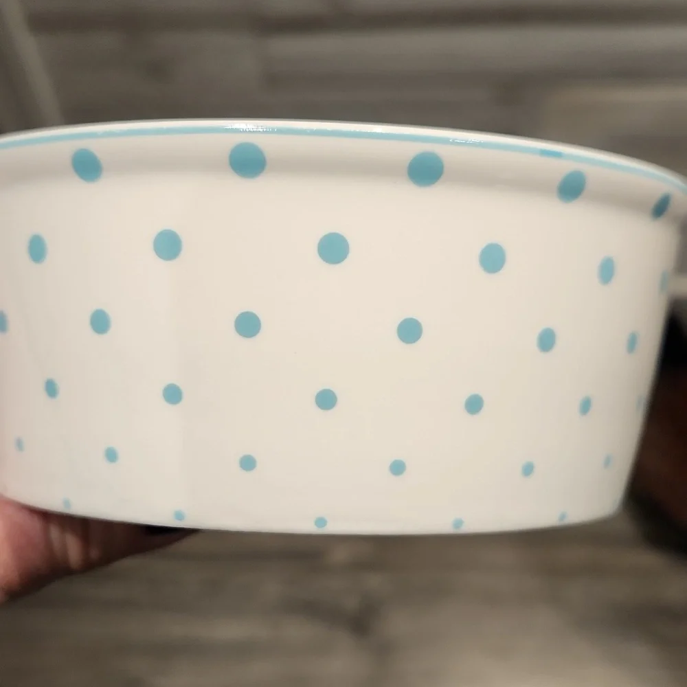 EUC Fido's Diner By Coastline Imports Dog Dish w/Blue Polka Dots 2 1/16